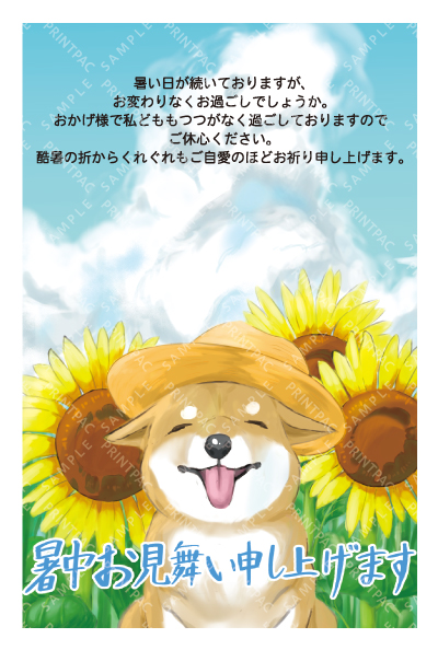 デザイン KTCO_SS858