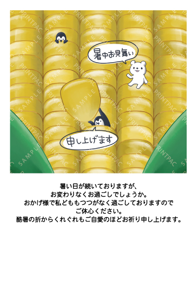 デザイン KTCO_SS870