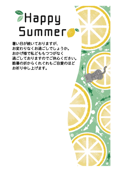 デザイン KTCO_SS872