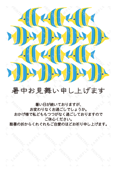 デザイン KTCO_SS889