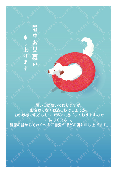 デザイン KTCO_SS893