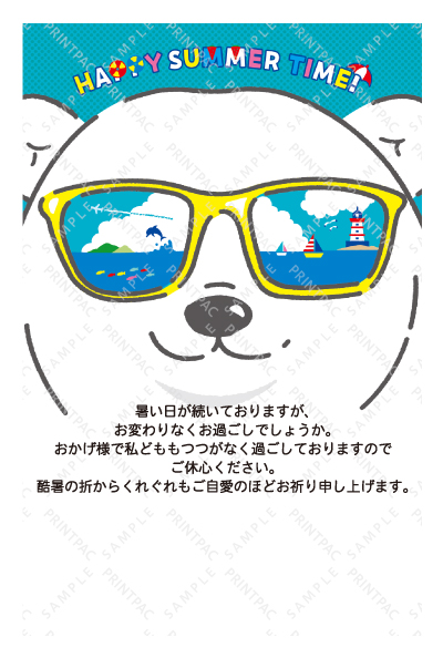 デザイン KTCO_SS894
