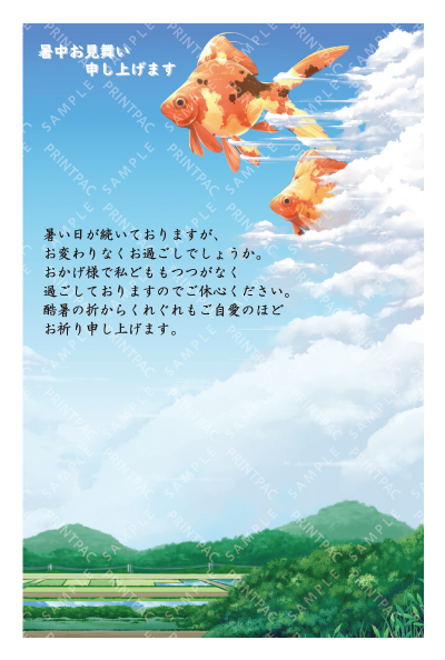 デザイン KTCO_SS908