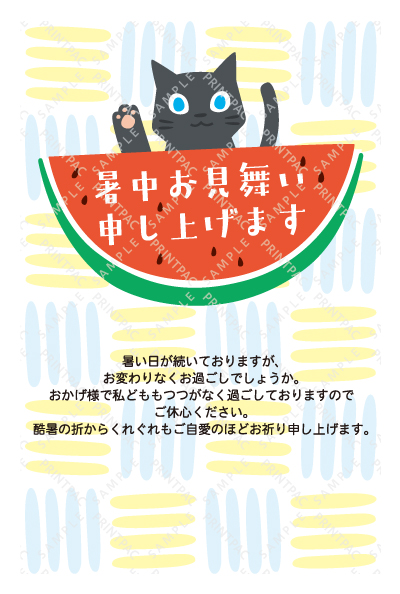 デザイン KTCO_SS926