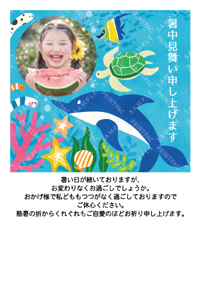 デザイン KTCO_SS929