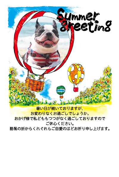 デザイン KTCO_SS943