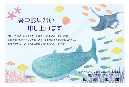 デザイン KYCO_SS049