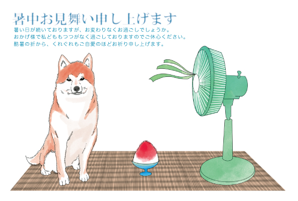 デザイン KYCO_SS088