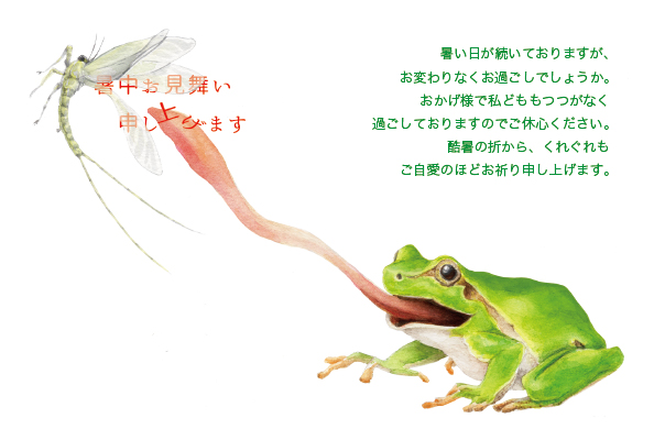 デザイン KYCO_SS090