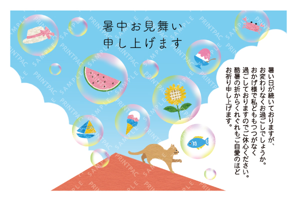 デザイン KYCO_SS212