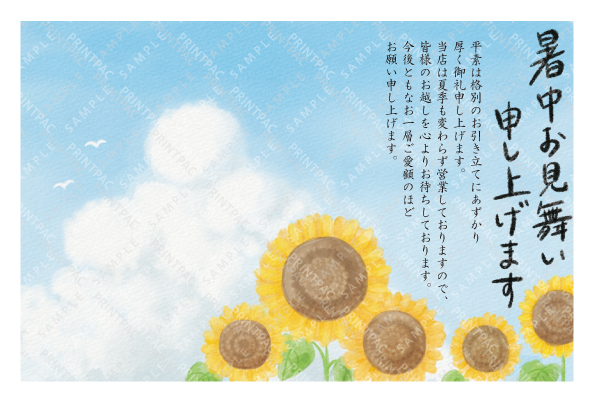 デザイン KYCO_SS218