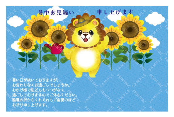 デザイン KYCO_SS221
