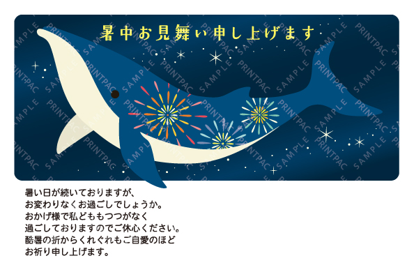 デザイン KYCO_SS228