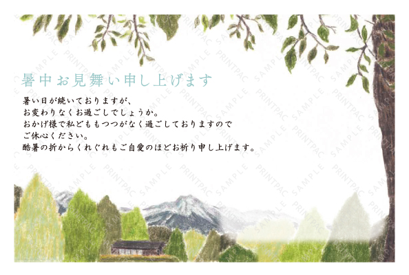 デザイン KYCO_SS242