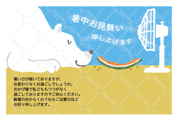デザイン KYCO_SS251