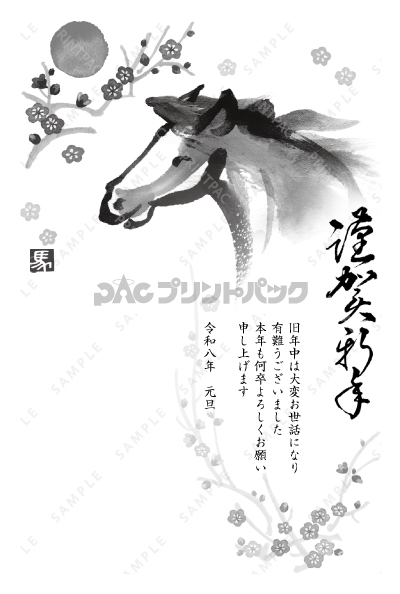 デザイン PTPO6502