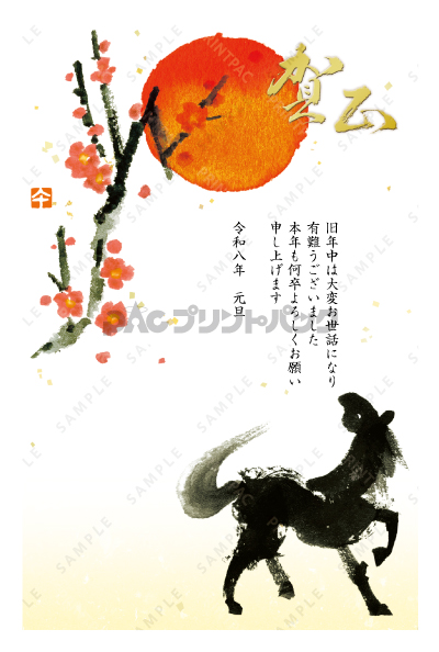 デザイン PTPO6504