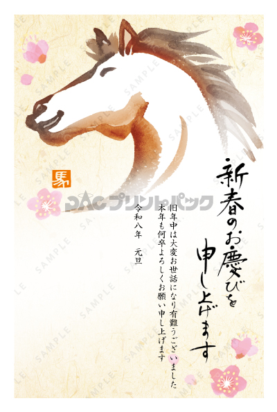 デザイン PTPO6505