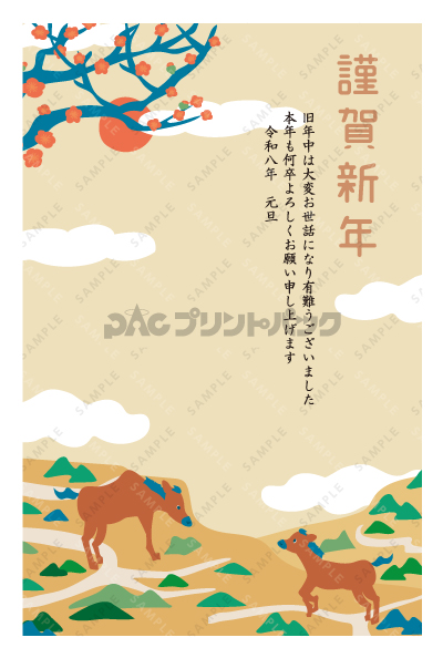 デザイン PTPO6628