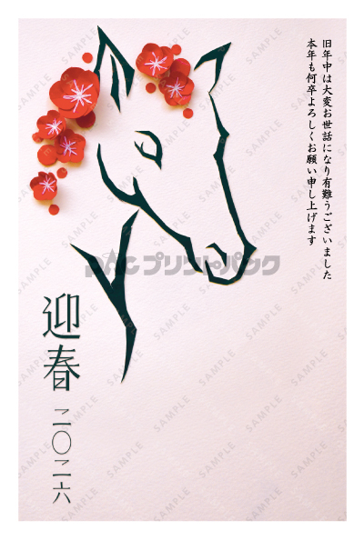 デザイン PTPO6644