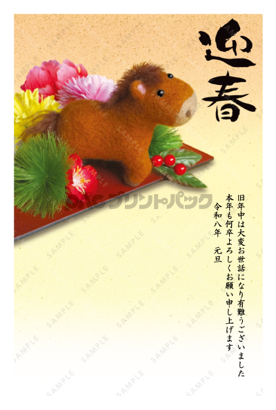 デザイン PTPO6650