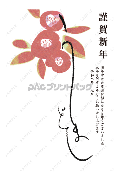 デザイン PTPO6651