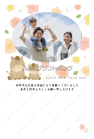 デザイン PTPO6980