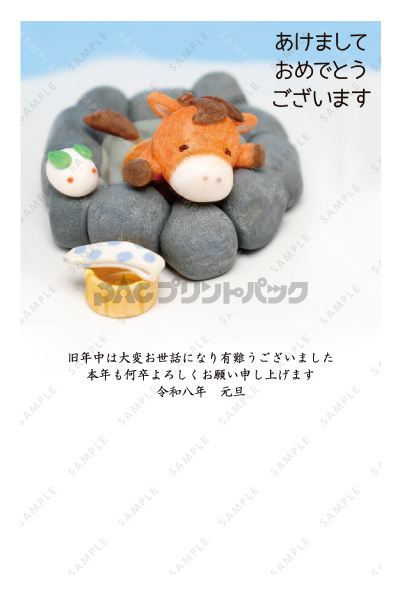 デザイン PTPO6998