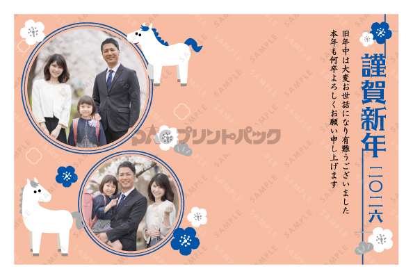 デザイン PYPO2031