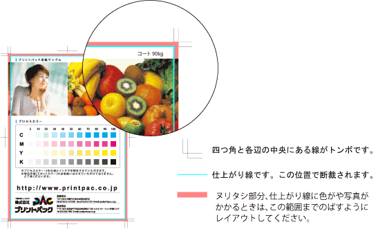 トンボとヌリタシ