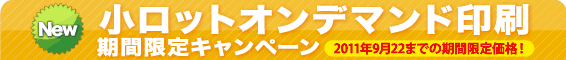 小ロットオンデマンドキャンペーン
