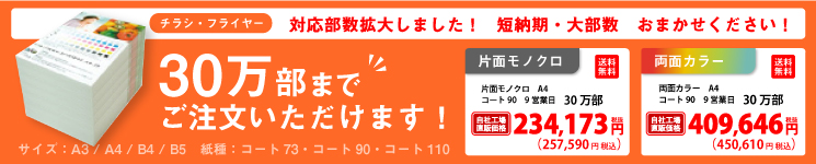 チラシ・フライヤー