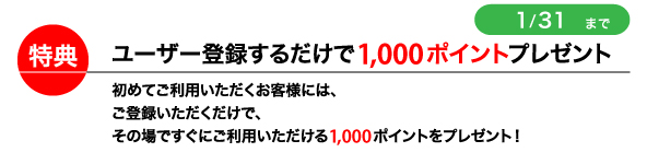 印刷通販プリントパック パンフレット カタログ チラシ 名刺 ｄｍ ポスター