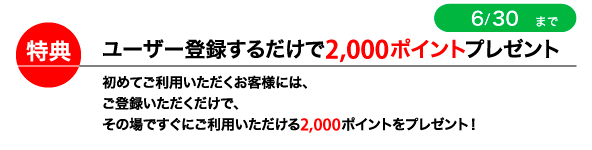 2000ptプレゼント