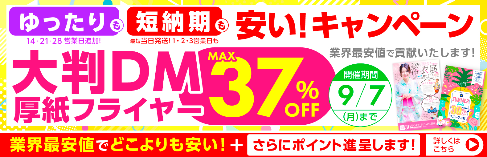 大判DMゆったりも短納期も安いキャンペーン