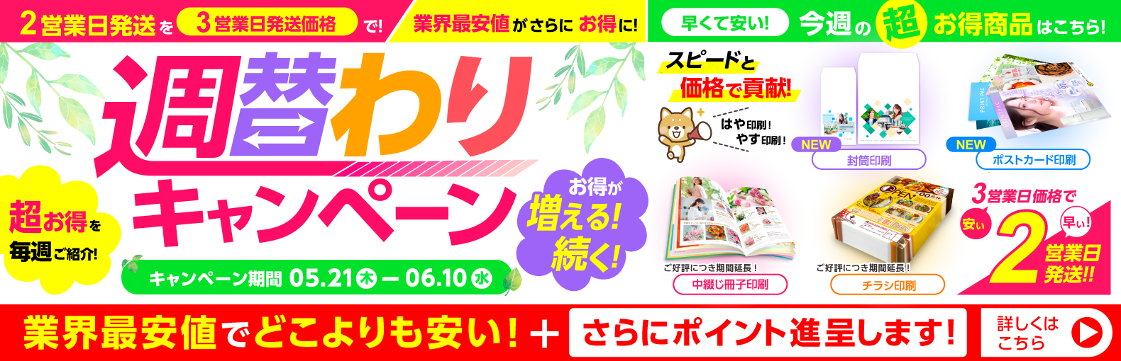 初夏の週替わりキャンペーン